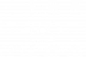 Academie_des_Eclaireurs_white